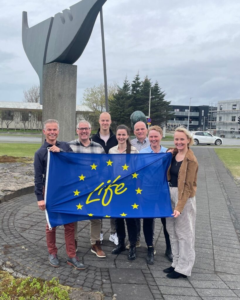 Project Board Meeting – Aligning on Progress and Plans