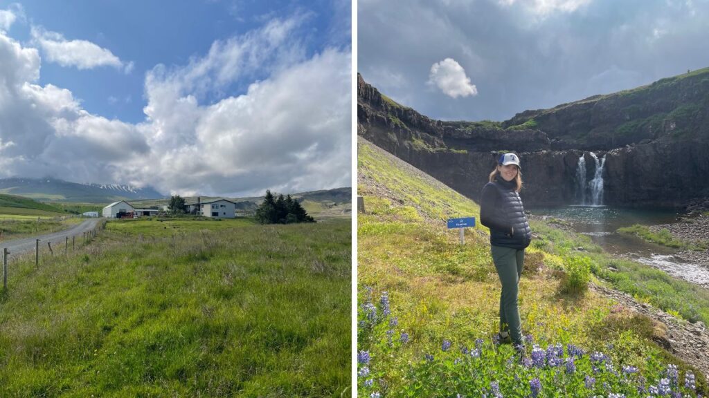 Strong Momentum in the project